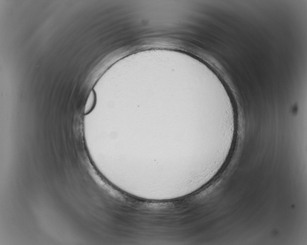 X0000114601433200911301413