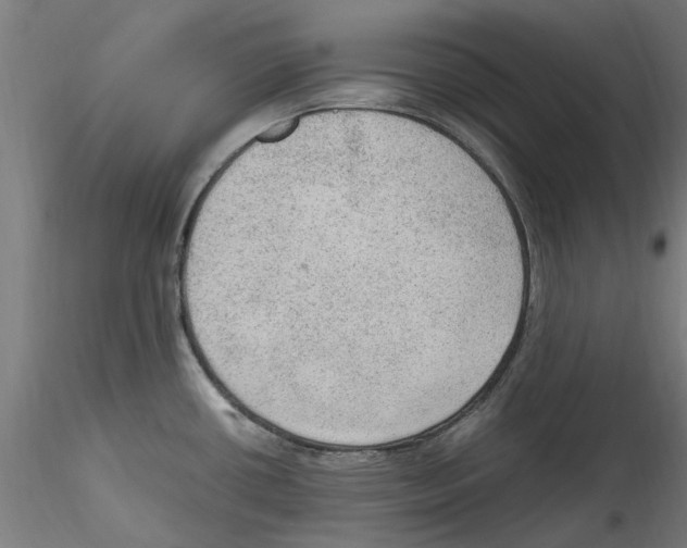 X0000114601434200911301413