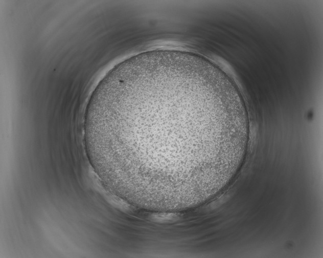 X0000114601435200911301413