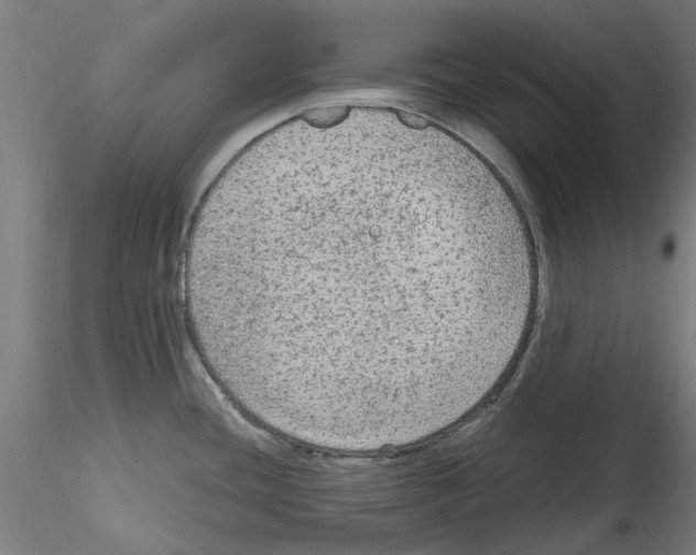 X0000114601436200911301413