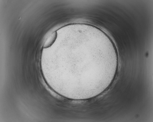 X0000114601437200911301413