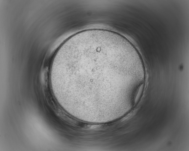 X0000114601438200911301413