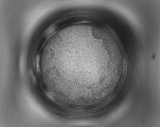 X0000114601439200911301413