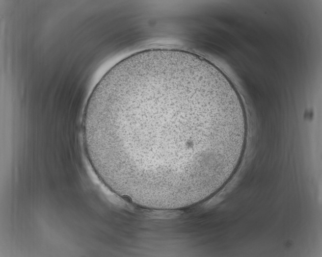 X0000114601440200911301413