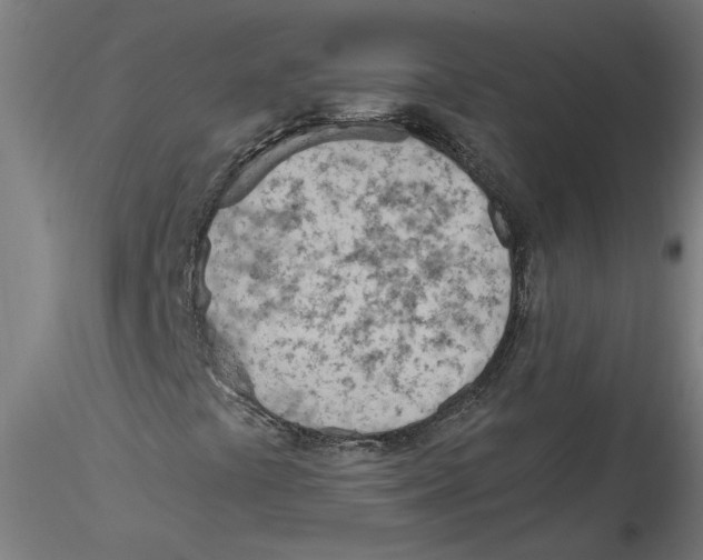 X0000114601441200911301412