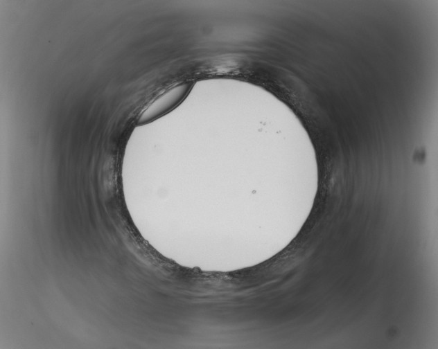 X0000114601442200911301412