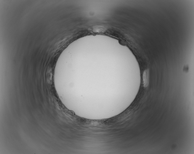 X0000114601443200911301412