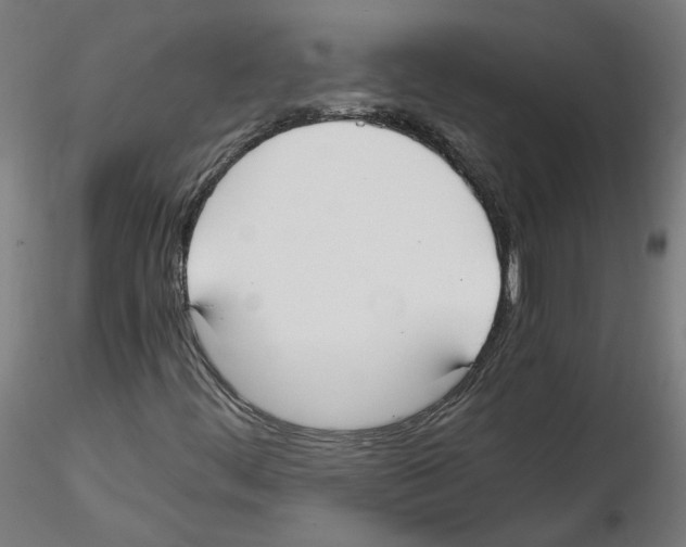 X0000114601444200911301412