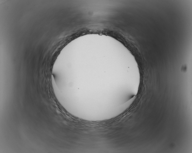 X0000114601445200911301412