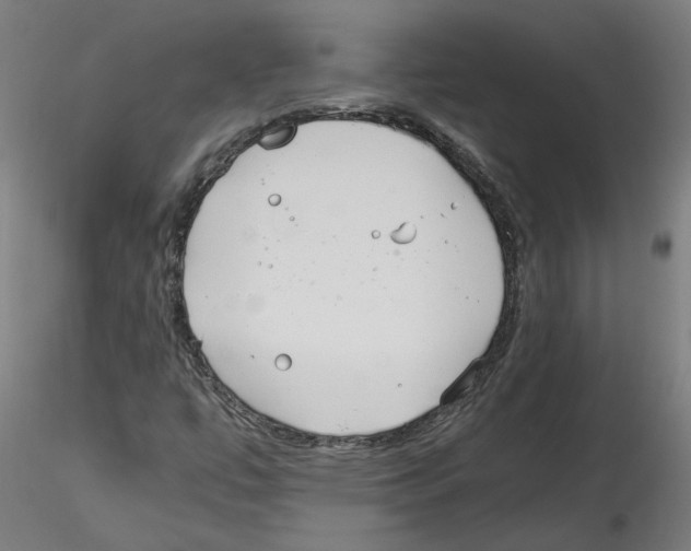 X0000114601447200911301412