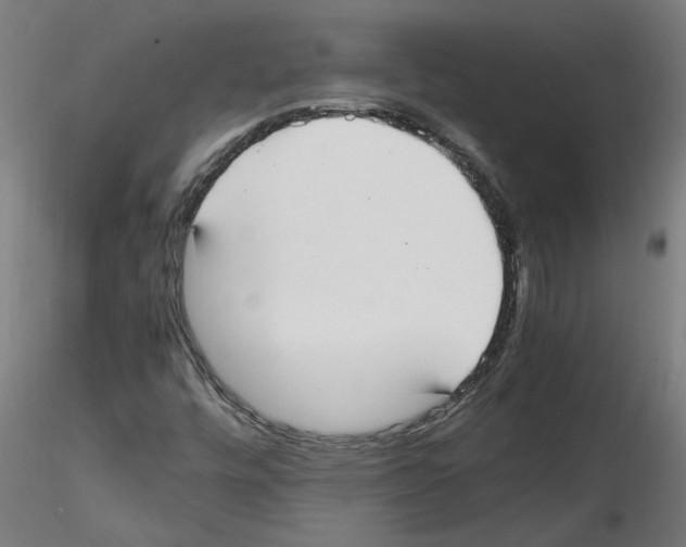 X0000114601448200911301412