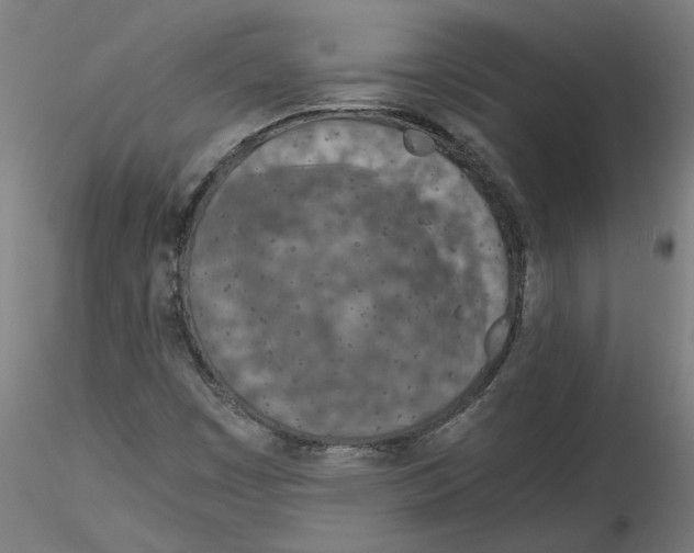 X0000114601449200911301412