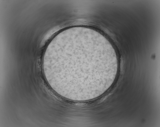 X0000114601453200911301412