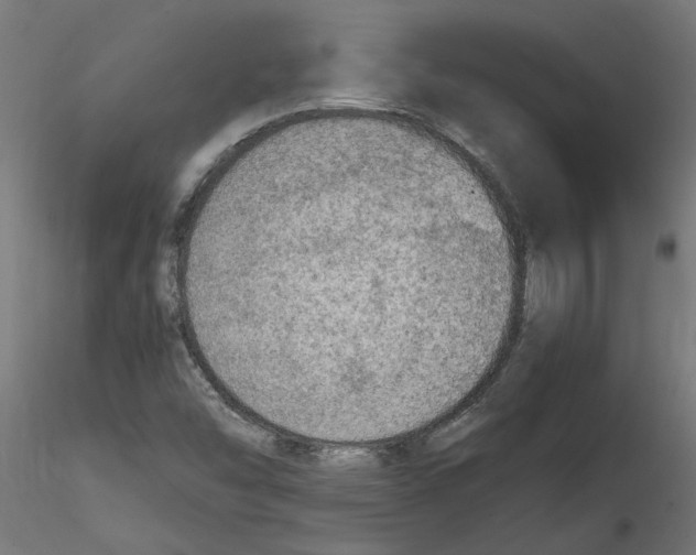 X0000114601454200911301412