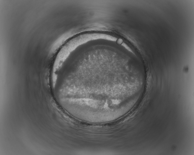 X0000114601455200911301412