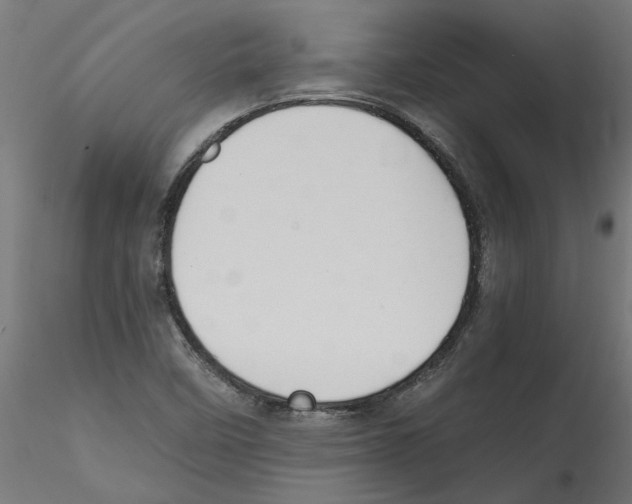 X0000114601458200911301412