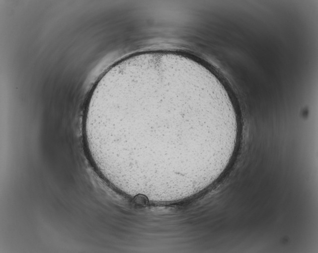 X0000114601459200911301412