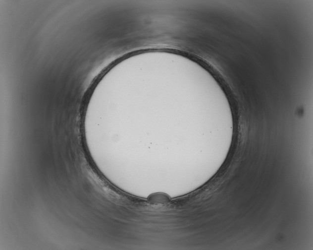 X0000114601460200911301412