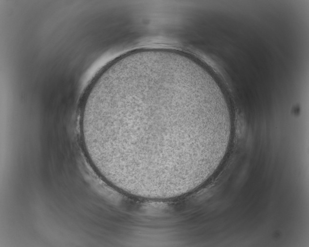 X0000114601462200911301412