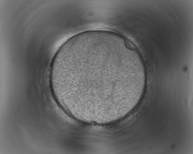 X0000114601463200911301412