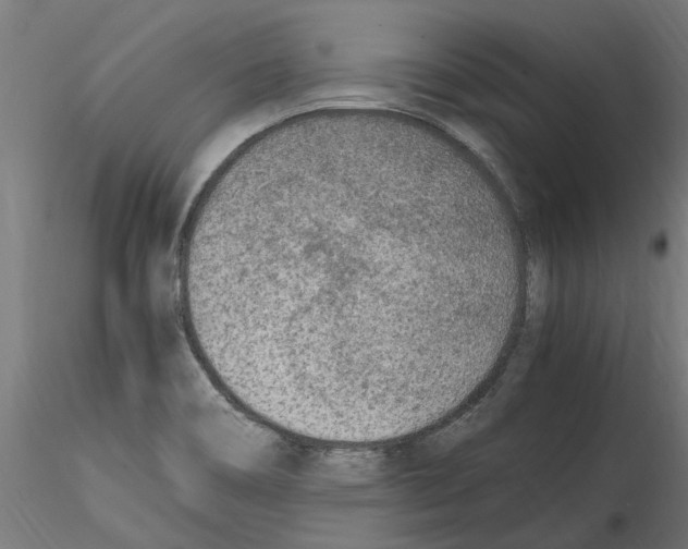 X0000114601466200911301411