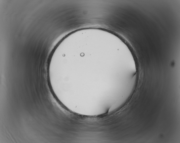 X0000114601468200911301411