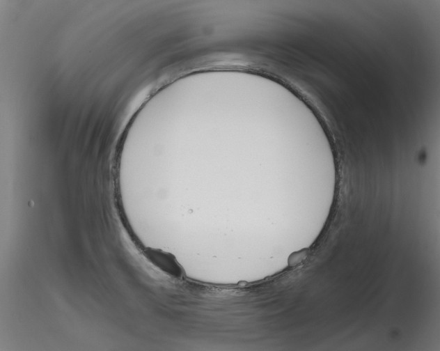 X0000114601475200911301411