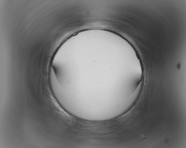 X0000114601477200911301411