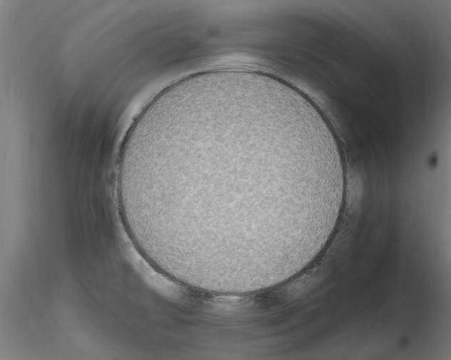 X0000114601478200911301411