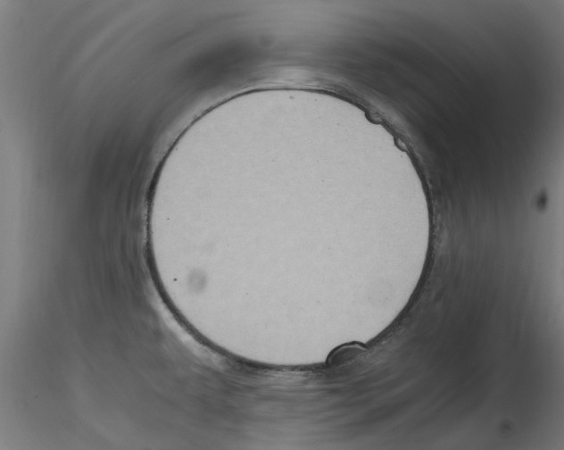 X0000114601479200911301411