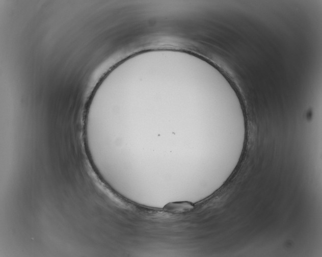 X0000114601480200911301411