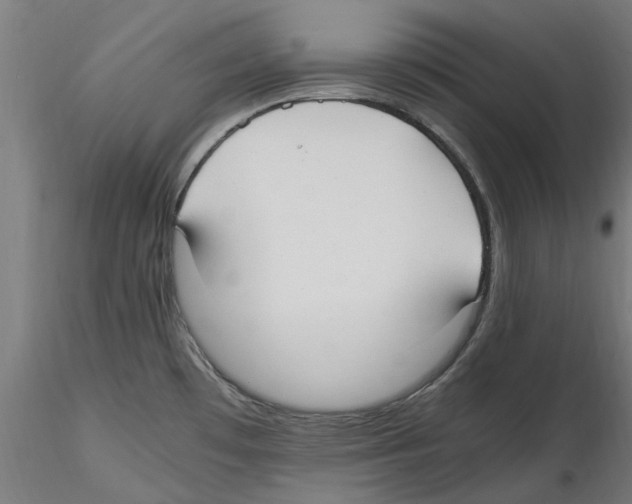 X0000114601481200911301411