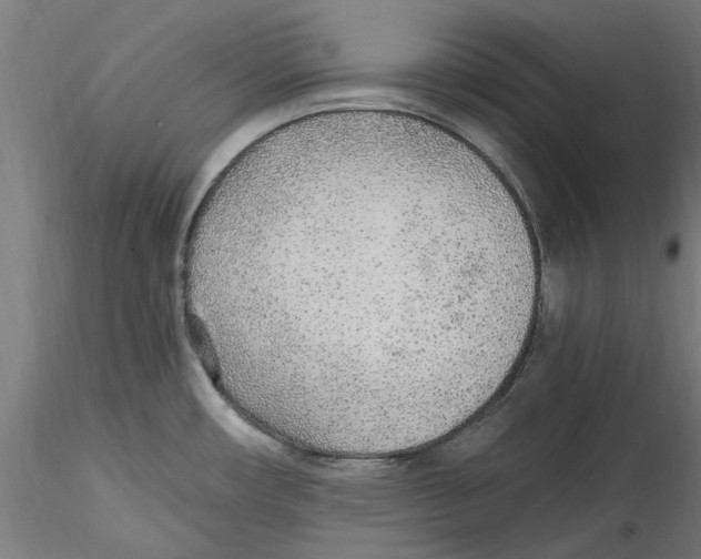 X0000114601482200911301411