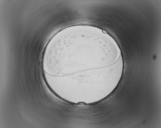 X0000114601483200911301411