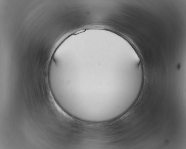 X0000114601484200911301411