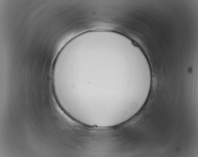 X0000114601487200911301411