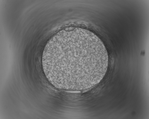 X0000114601489200911301410