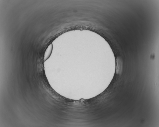 X0000114601491200911301410