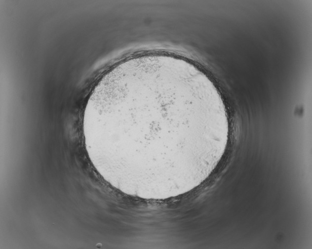 X0000114601494200911301410