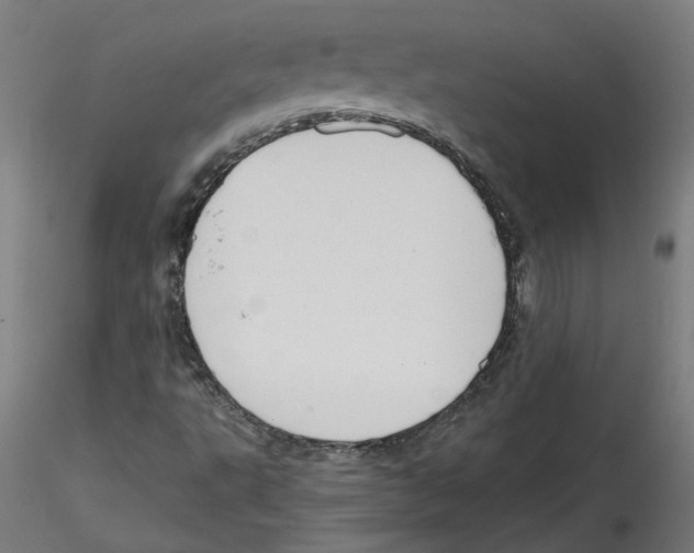 X0000114601495200911301410