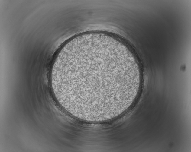 X0000114601497200911301410