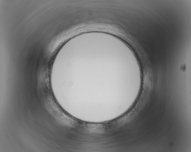 X0000114601498200911301410