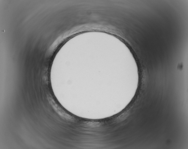 X0000114601499200911301410