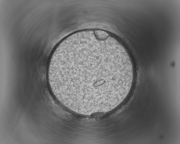 X0000114601505200911301411