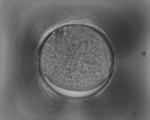 X0000114601506200911301411