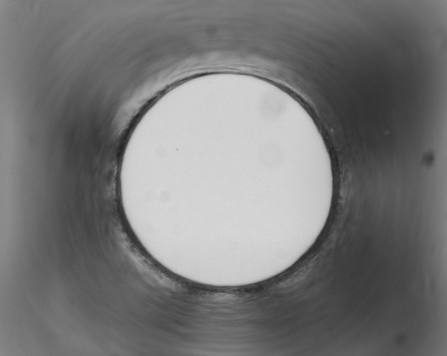 X0000114601507200911301411