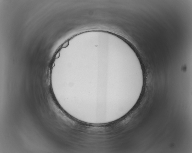 X0000114601510200911301411