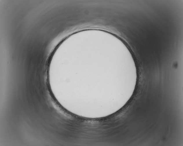 X0000114601511200911301411