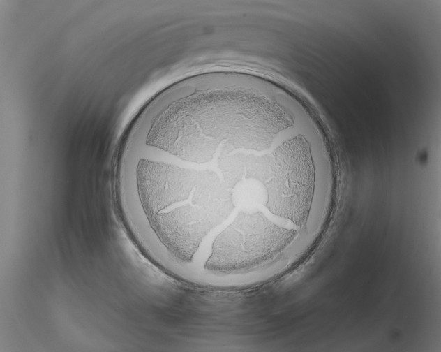 X0000114601514200911301411