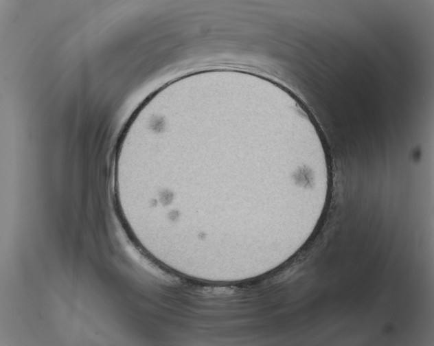 X0000114601515200911301411